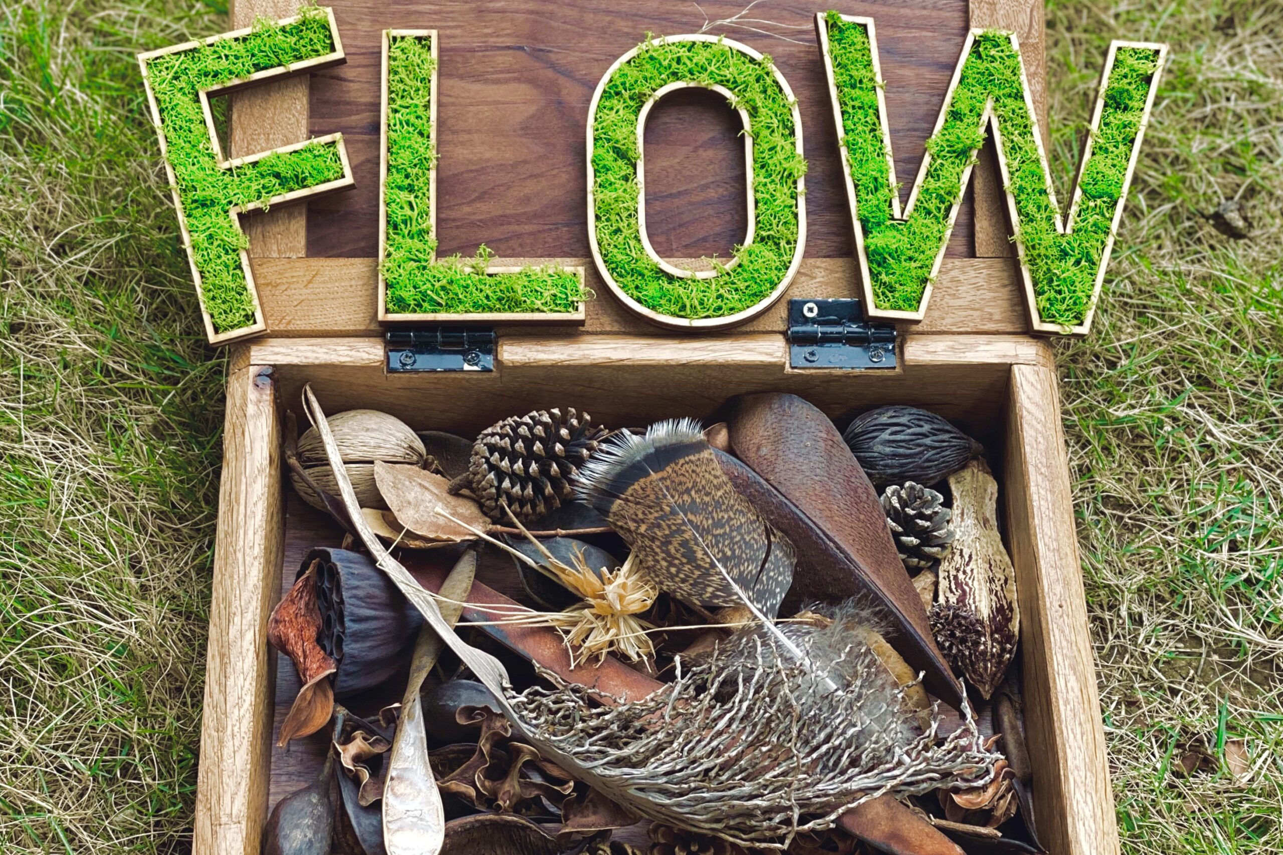 FLOW FARM