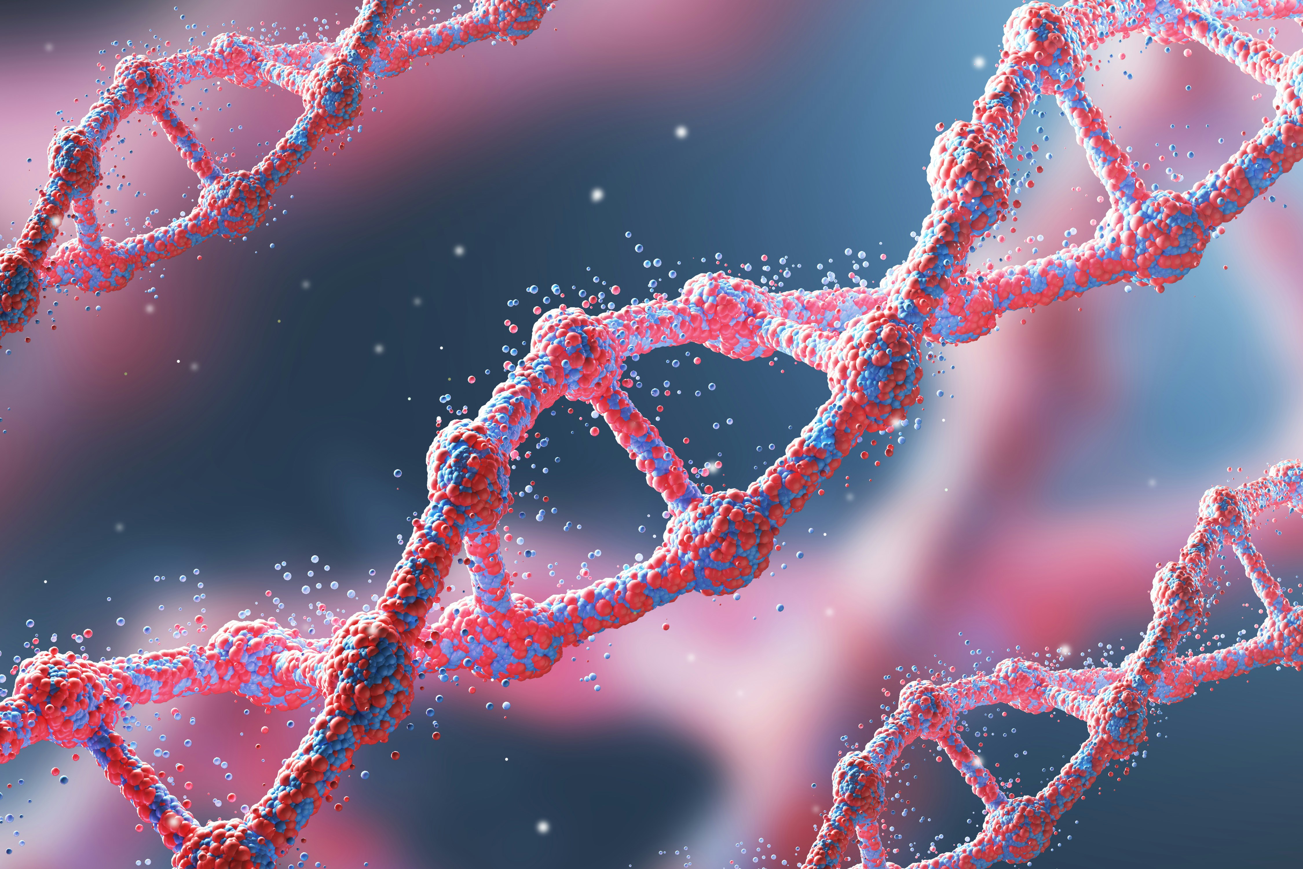 Genome